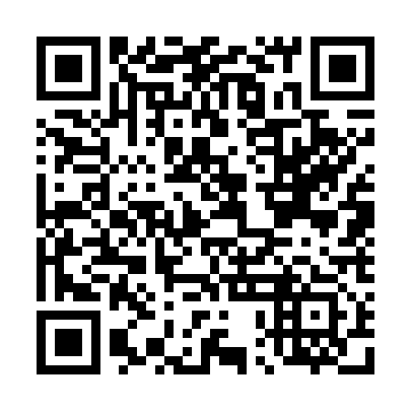 QR code for plate D0G 713
