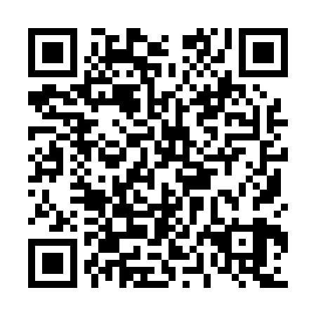 QR code for D0I 029