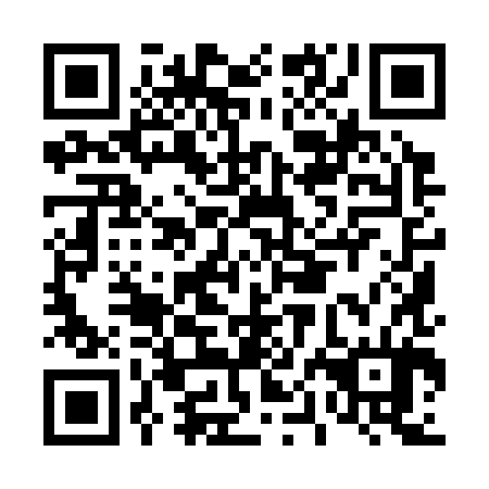 QR code for D0I 384