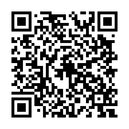 QR code for plate D0I 017