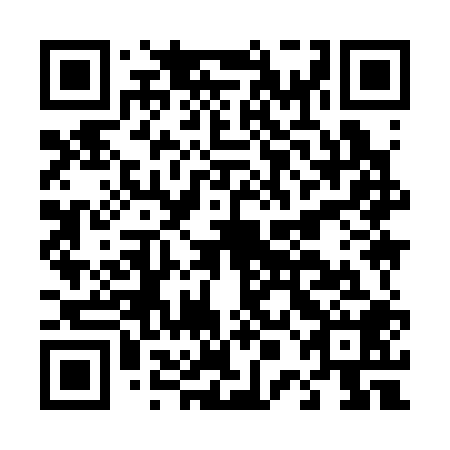 QR code for plate D0I 308