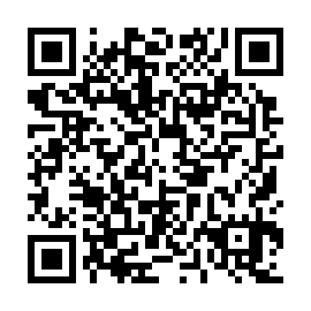 QR code for D0I335