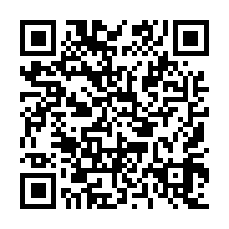 QR code for plate D0I 519