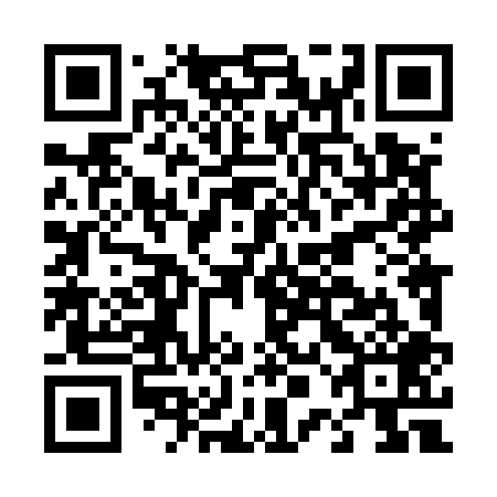 QR code for D0L 509