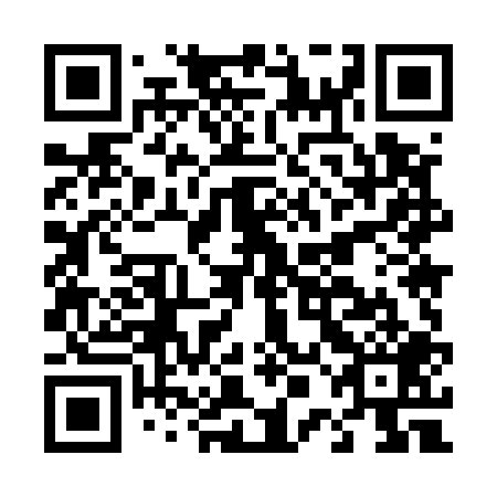 QR code for plate D0M 509
