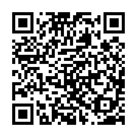 QR code for plate D0P 599