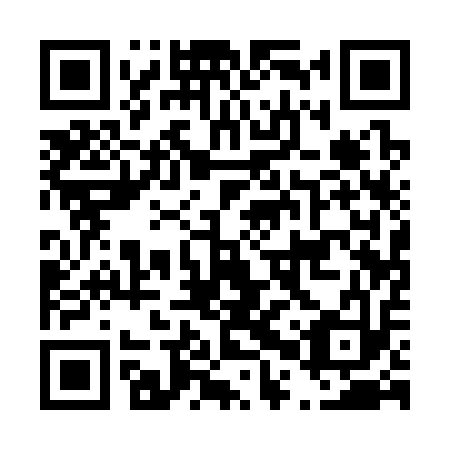QR code for D0Q 313