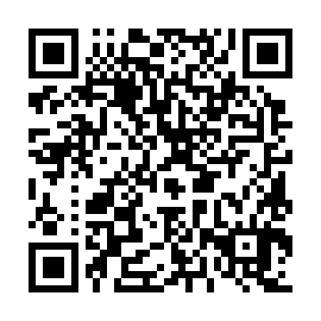 QR code for D0U 384
