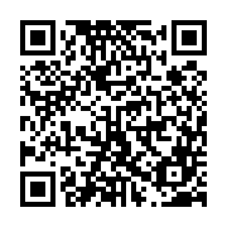 QR code for plate D0U 546
