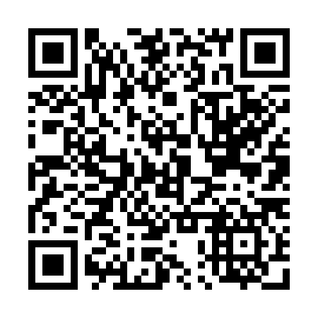 QR code for plate D0V 387