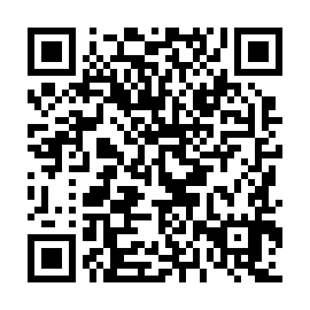 QR code for D0X 295