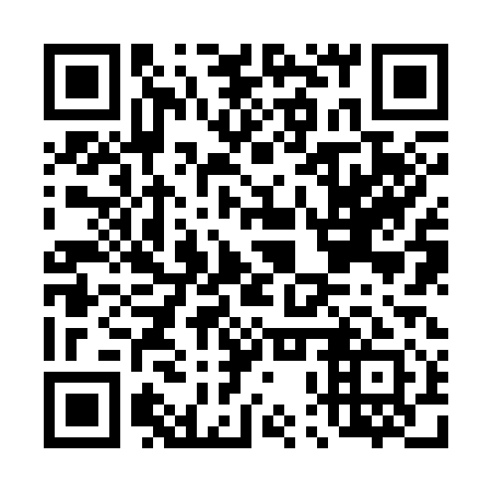 QR code for D0Z 311