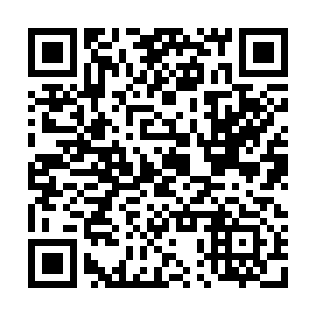 QR code for D0Z313