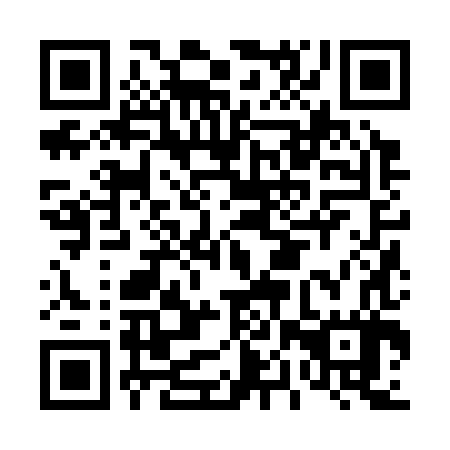QR code for D0Z387