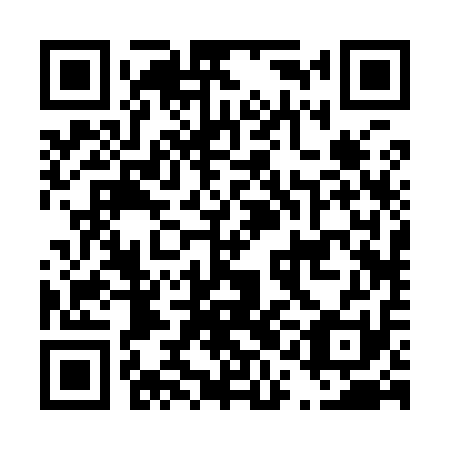QR code for D1B911