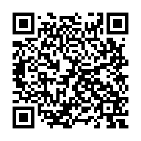 QR code for D1C 163