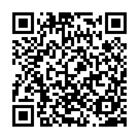QR code for plate D1C 065