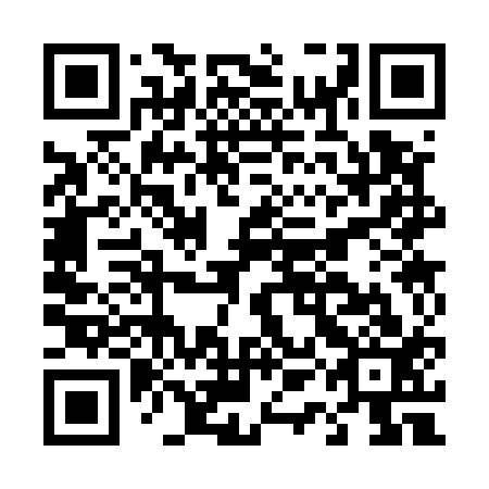 QR code for plate D1C 513