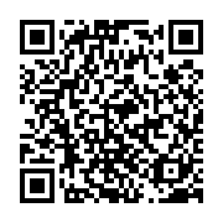 QR code for plate D1C 521
