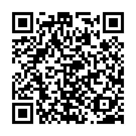 QR code for D1D 029