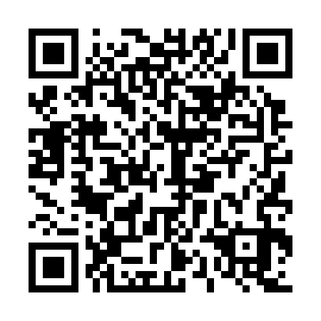 QR code for D1D 333