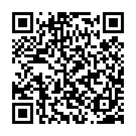 QR code for D1D 493