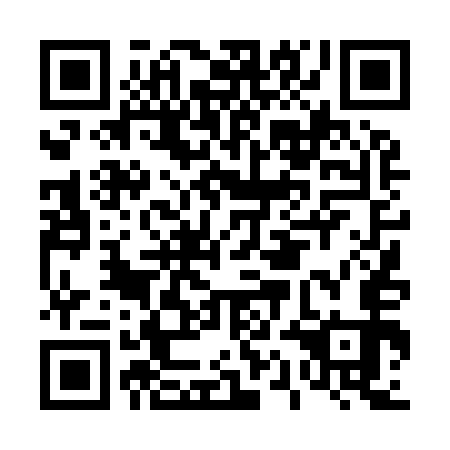 QR code for D1D 953