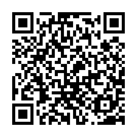 QR code for D1D595