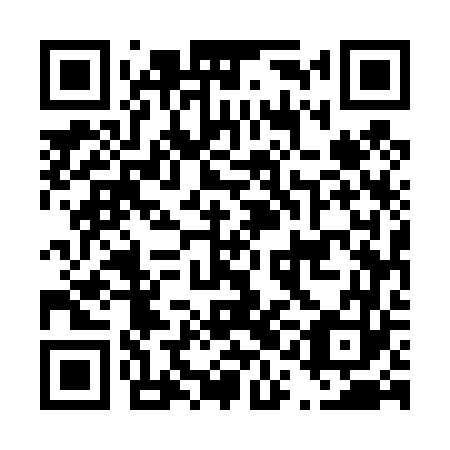 QR code for D1E 463