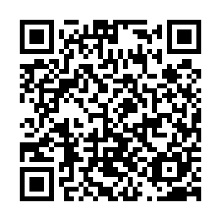 QR code for plate D1E 505