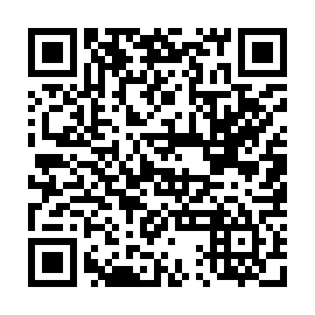 QR code for plate D1E 965