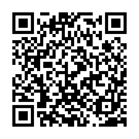 QR code for plate D1F 153