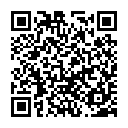 QR code for D1G 294