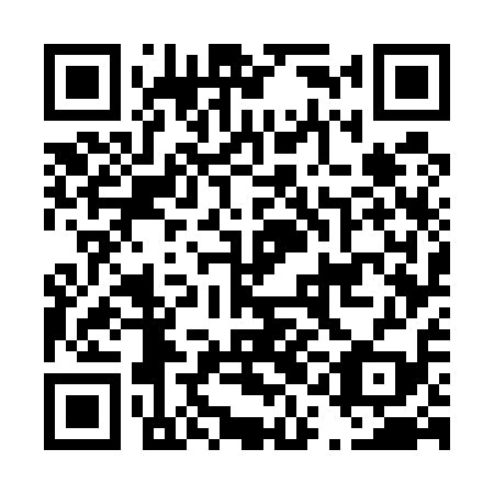 QR code for D1G 519