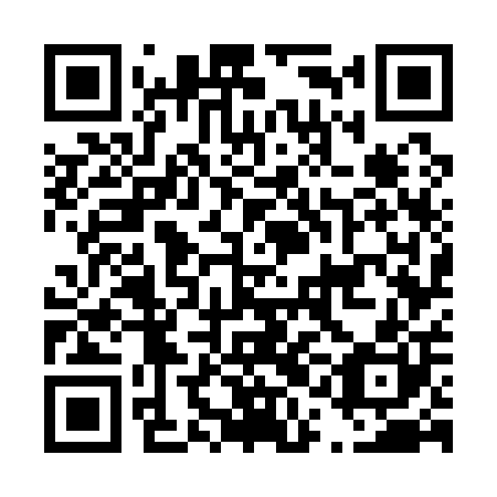 QR code for D1G100