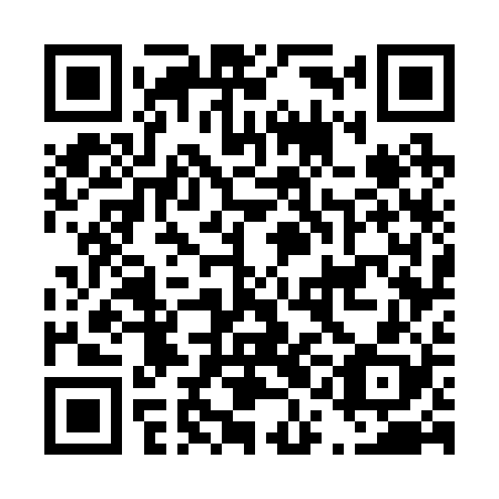 QR code for D1G228