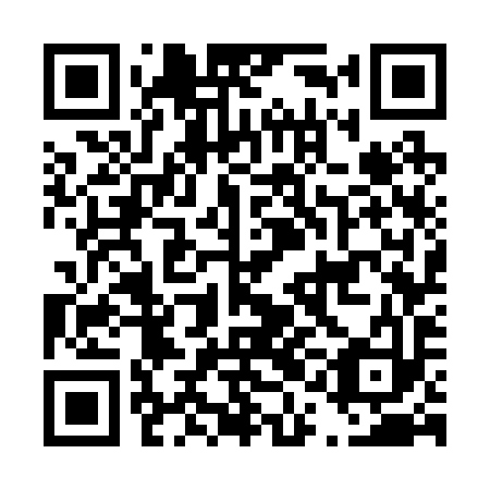 QR code for D1G293