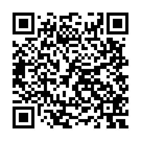 QR code for D1G509