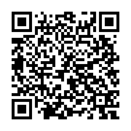 QR code for plate D1G 732