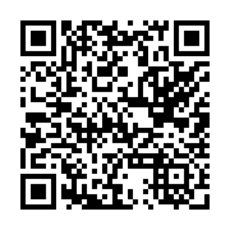 QR code for plate D1G 833