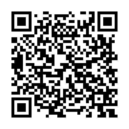 QR code for plate D1G 924