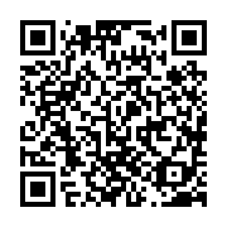 QR code for D1H 299