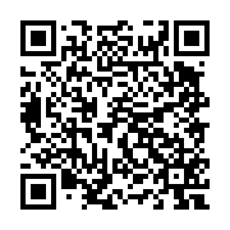 QR code for plate D1H 455