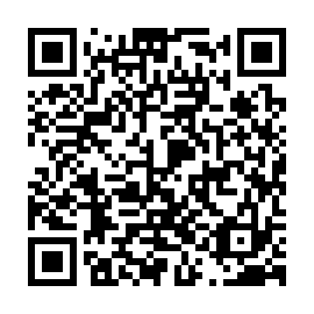 QR code for D1I 333