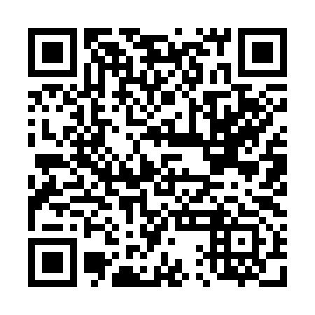 QR code for D1I 393