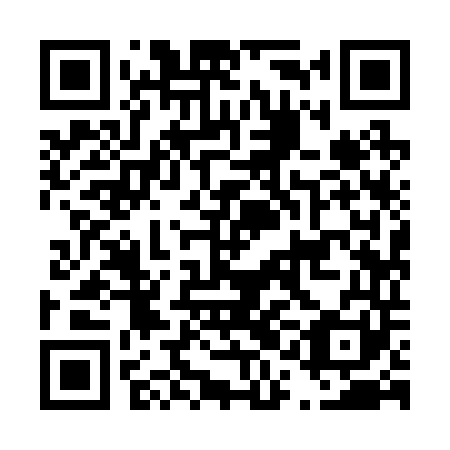 QR code for D1I241