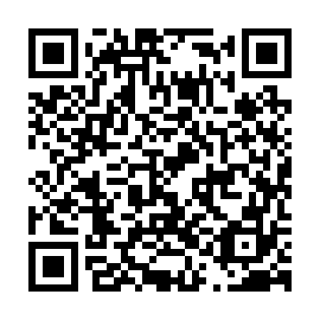 QR code for plate D1I 272