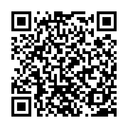 QR code for plate D1I 500