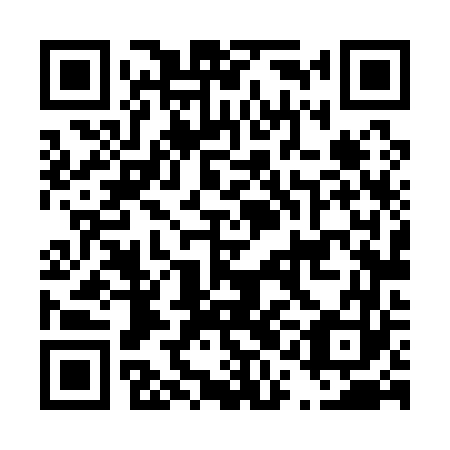 QR code for D1L 163