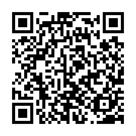 QR code for D1L 700